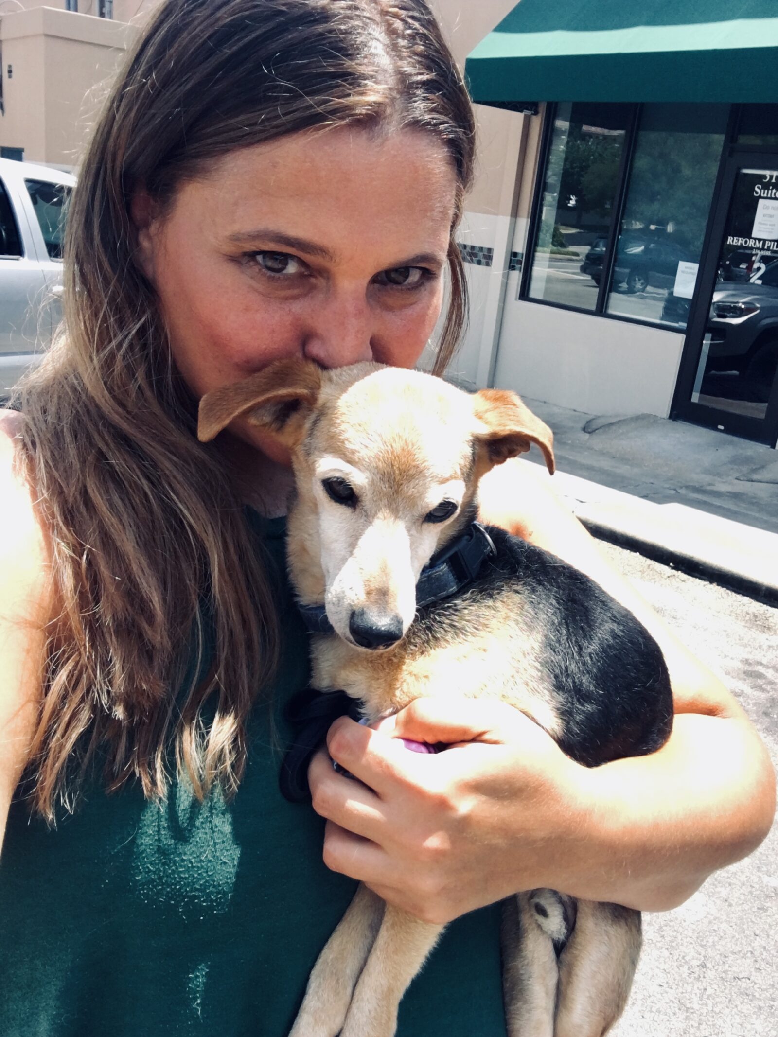 joys of fostering