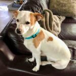 Stevie Nicks - ADOPTED