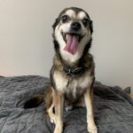 Russ-Adopted