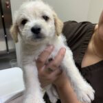 Lloyd Braun - Adopted