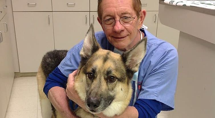 Hope For Distemper Dogs