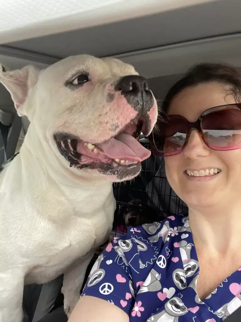 From Shelter to Second Chances: Ace’s Inspirational Journey of Transformation