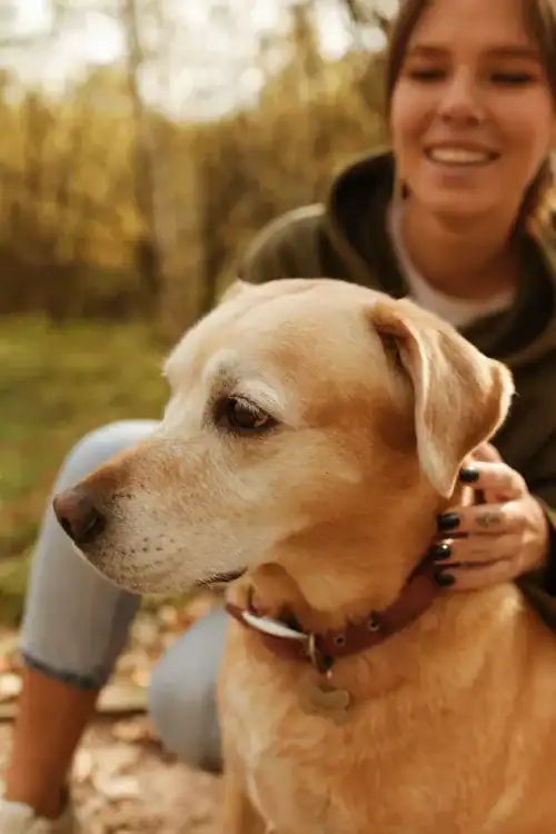 woman holding a brown dog