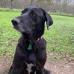 Rita Mae-Heading to Michigan!