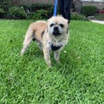 Marty McFly - ADOPTED