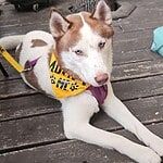 Hubbell-Adopted