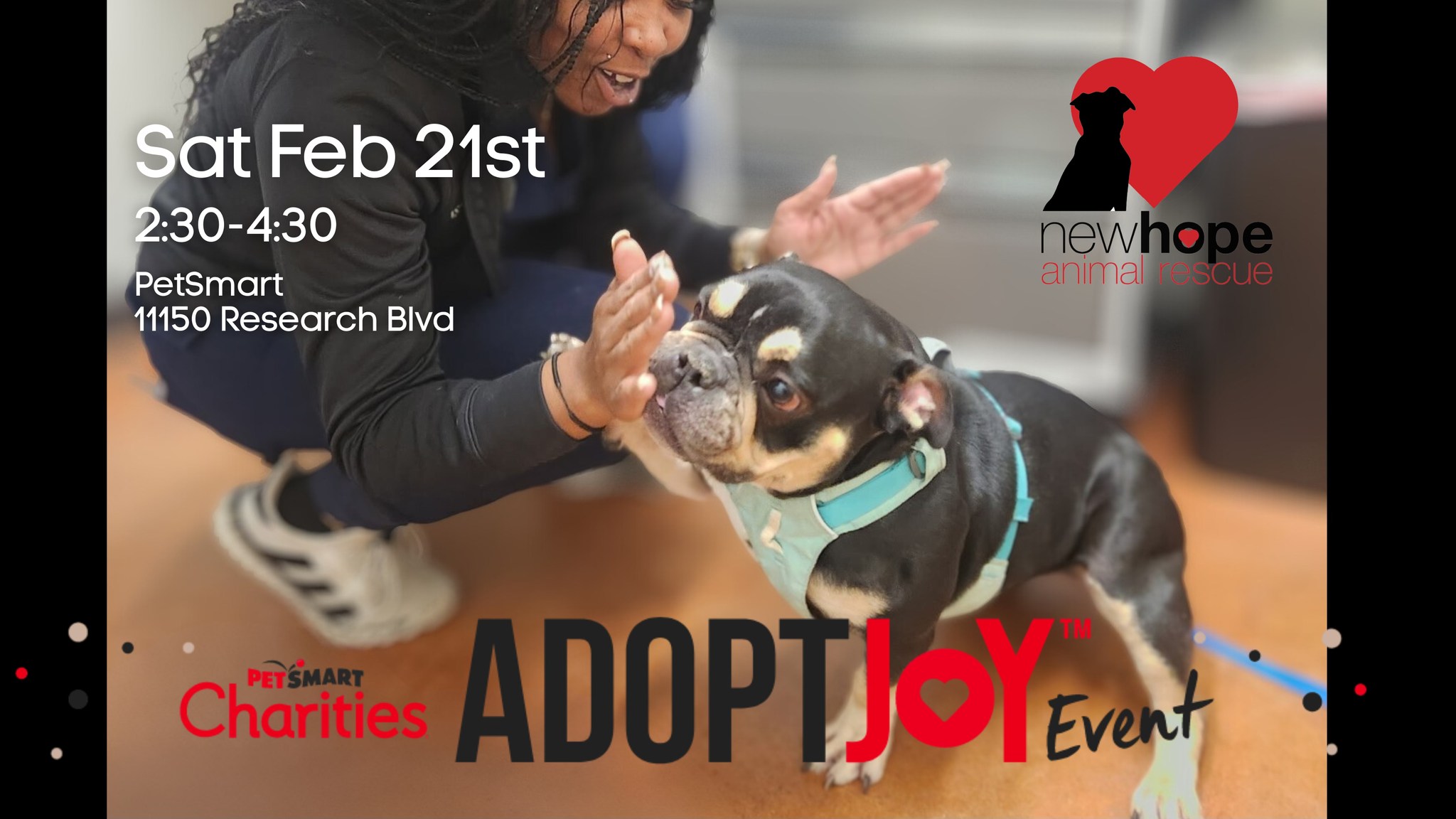 NHAR Feb 2026 dog adoption event