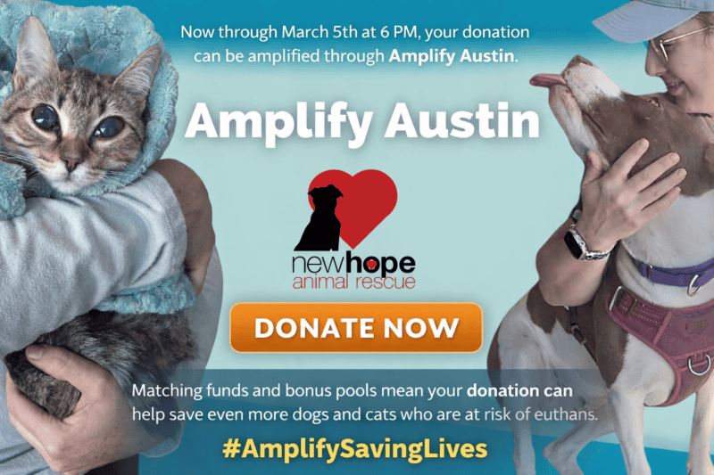 Amplify Austin with New Hope Rescue