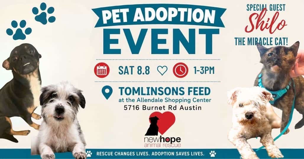 Tomlinsons Adoption Event 08.08.2026