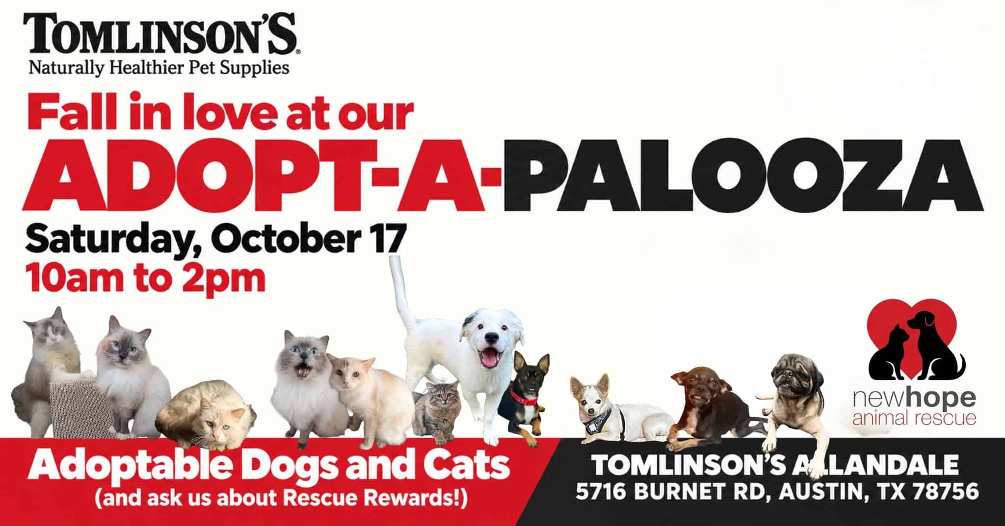 Adopt A Palooza