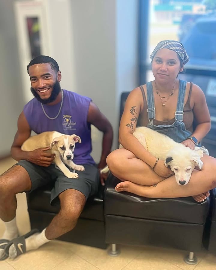 New Hope Animal Rescue