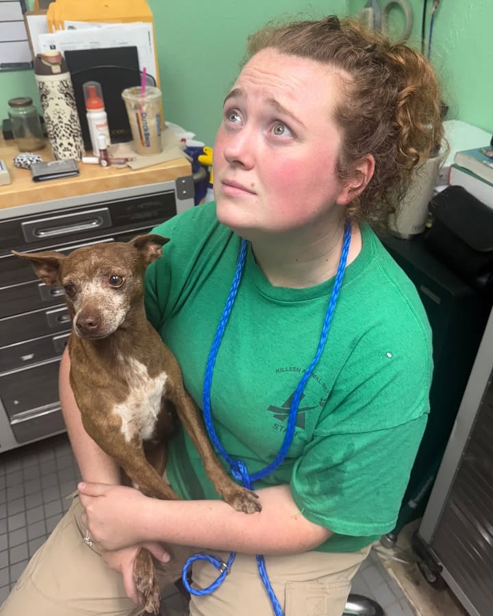 New Hope Animal Rescue