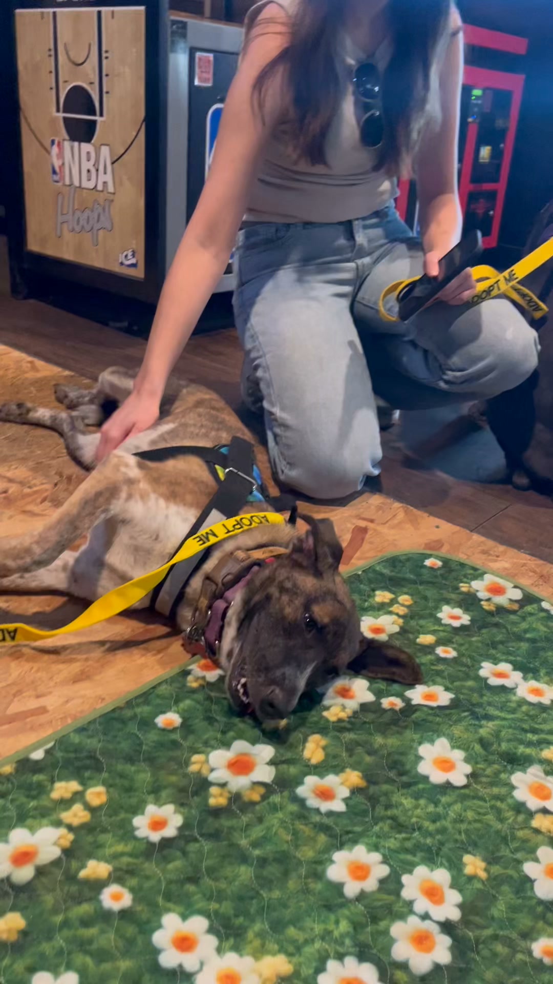 New Hope Animal Rescue