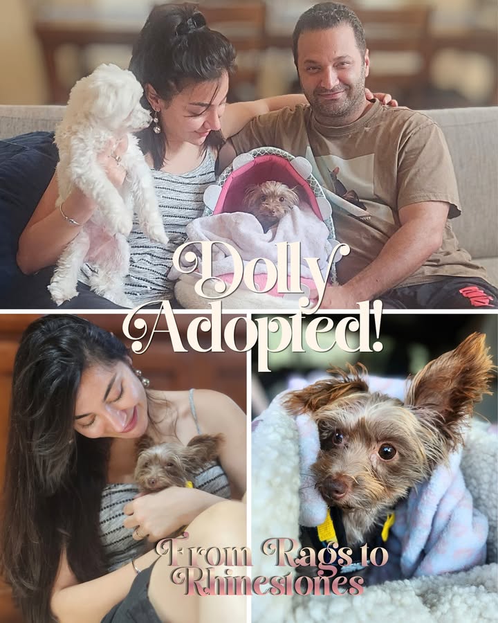 New Hope Animal Rescue