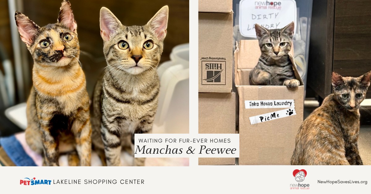 New Hope Animal Rescue